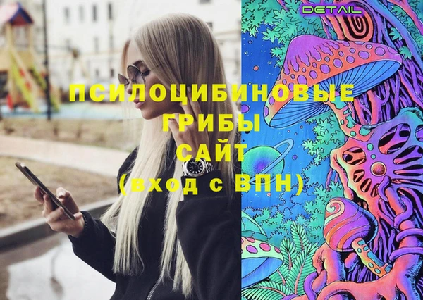 spice Ладушкин