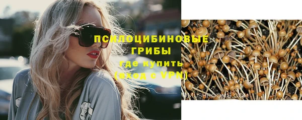 spice Ладушкин
