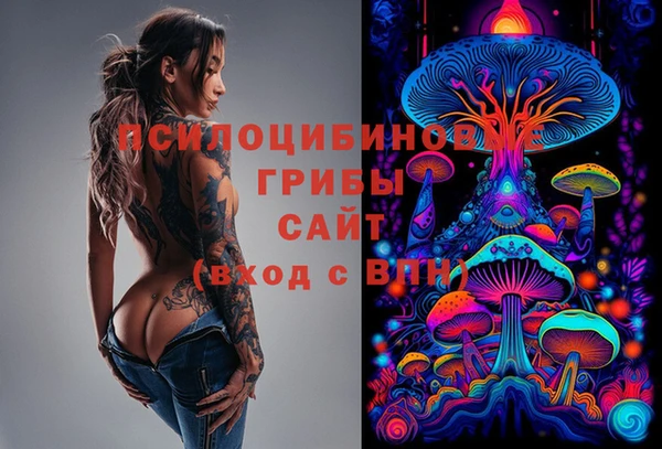бошки Лабытнанги